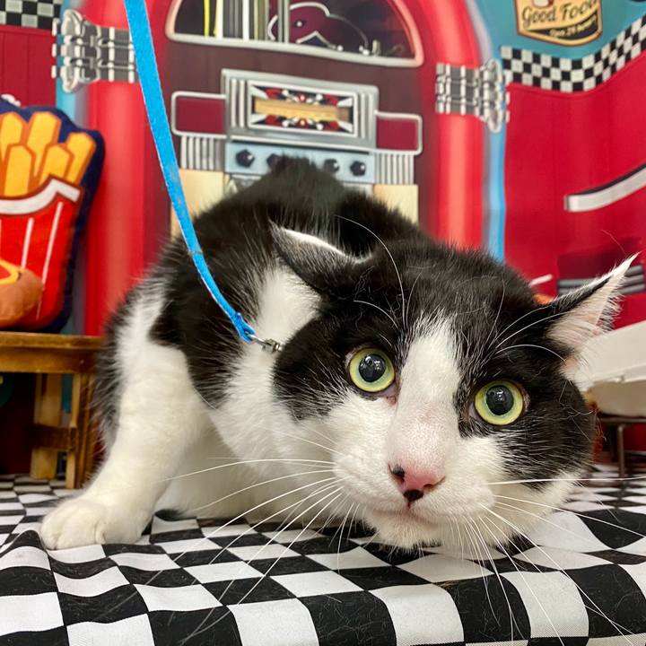 C5f62be7 d252 4611 9248 2d051d319ee7 1752218605738