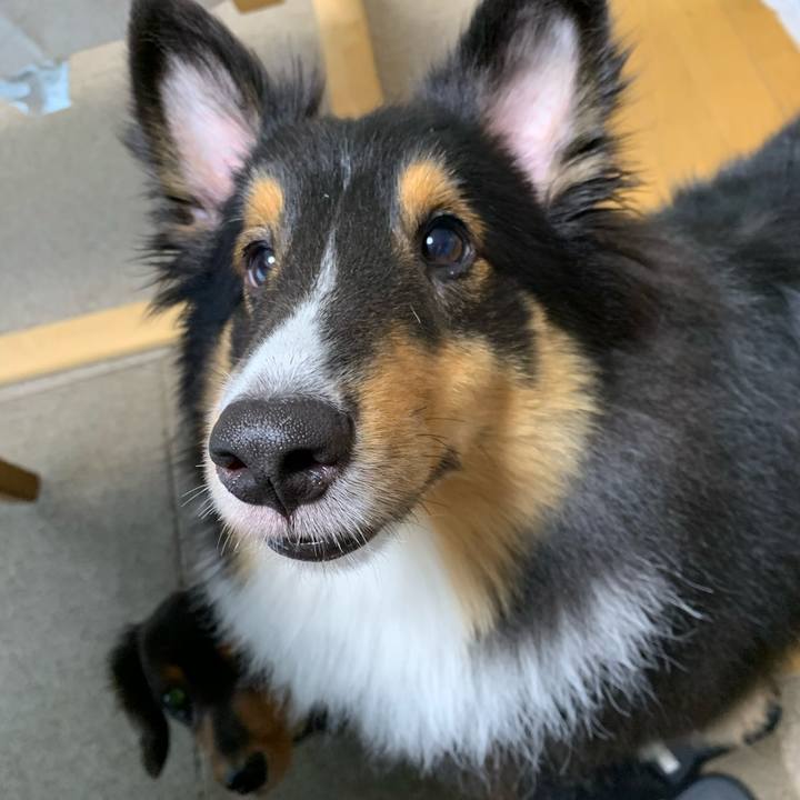 C5f642ed f62c 47e0 9d49 2985db2b22fc 1605057468891