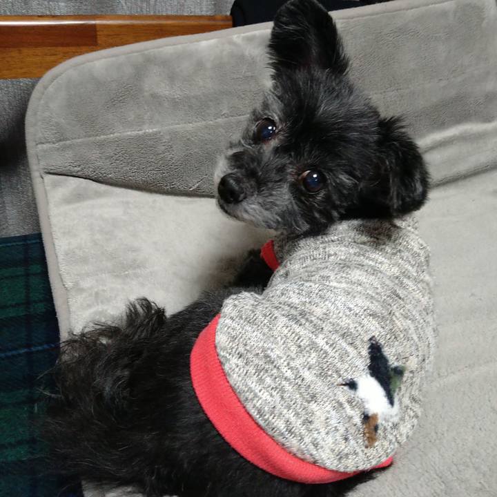 C5f6781a e9e4 472a b3d4 28f99df131f0 1706357448071