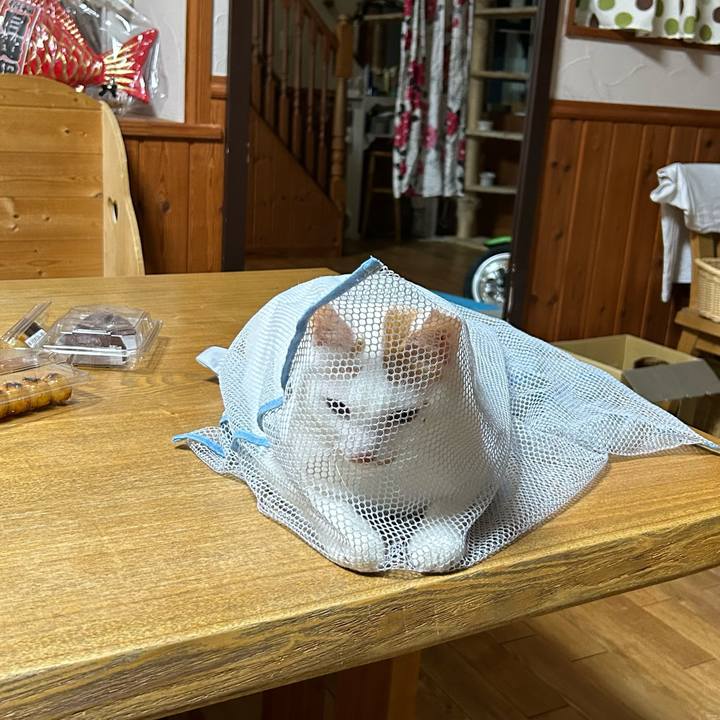 C5f6c8f9 79f0 4799 9522 4423f929cc33 1693081221885