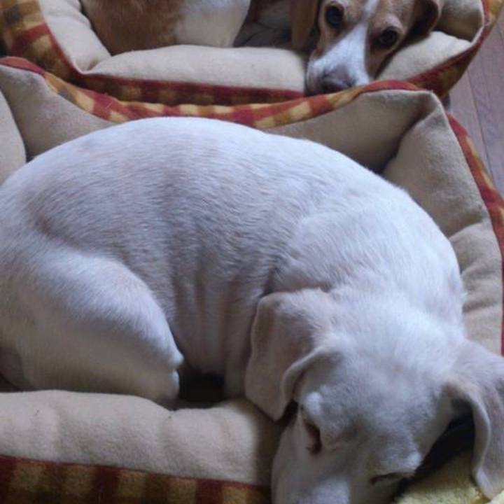 C5f6e5fd 56cf 4522 bfe6 ecea165a5279 1573607906725