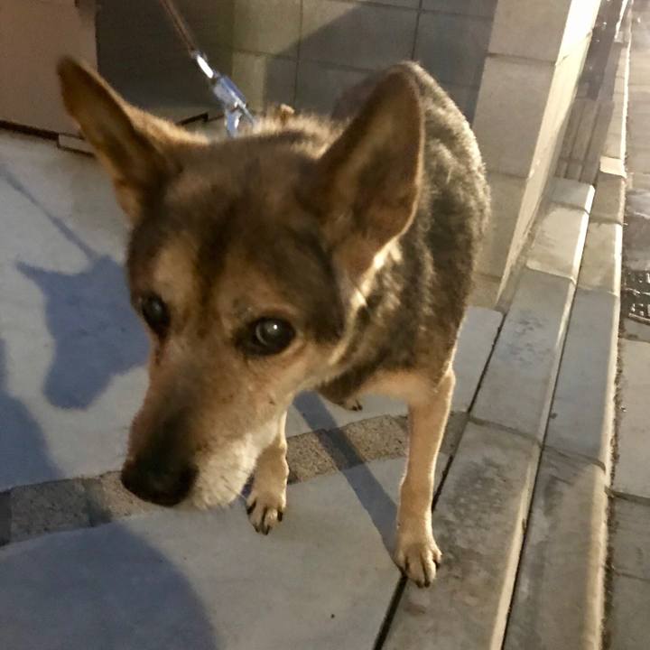 C5f6eeb8 1ad2 4f9b aa96 2db7200a7839 1542441959992