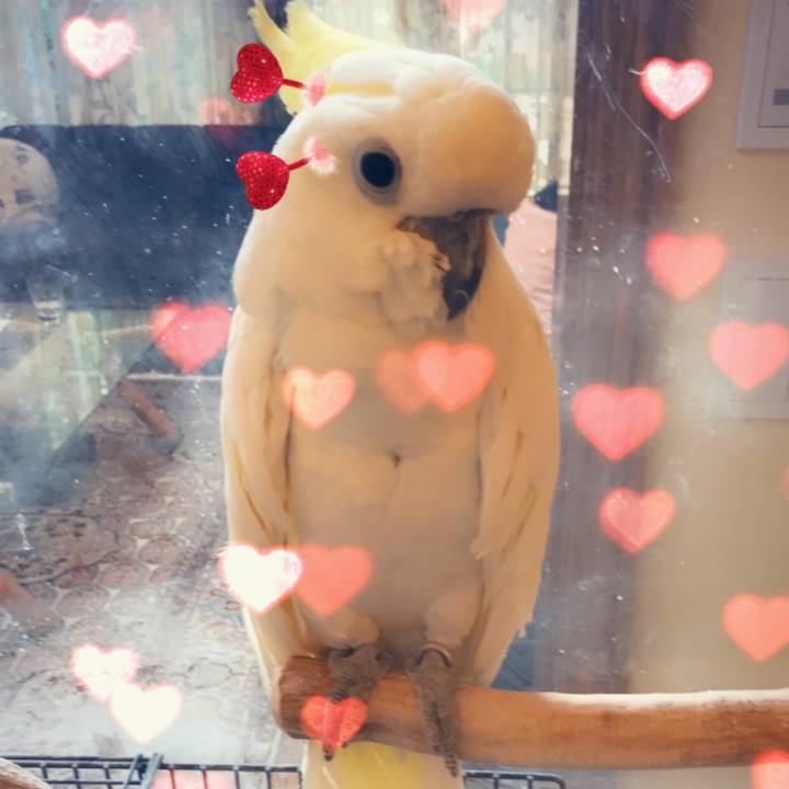 C5f6f643 d9cb 4ceb 833f 590b13e18269 1560495008405