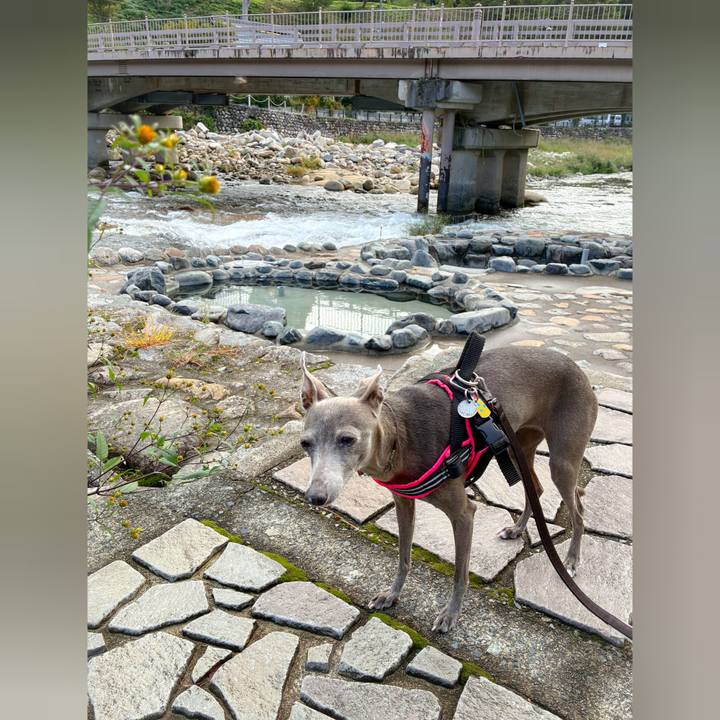 C5f711f6 10e1 42b8 b0ed b650b797e43e 1761451490418