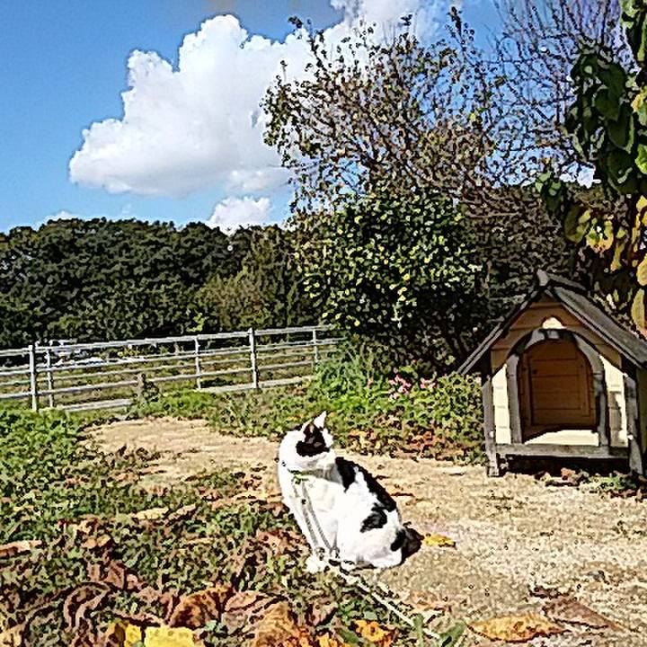 C5f74c3b 42df 49f6 a341 832c7cf23a25 1509370391731