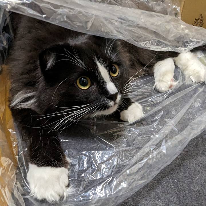 C5f76016 92dc 467e a0be 71cfb2d29f4e 1674820503760