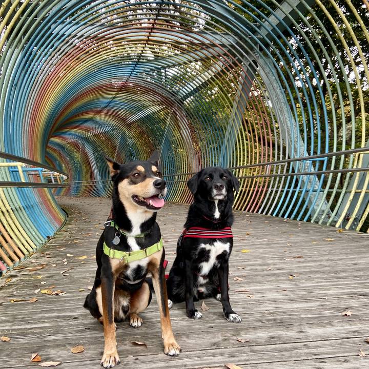 C5f77df5 61c5 466d 8ed4 2f6cbf42d83a 1637677975331