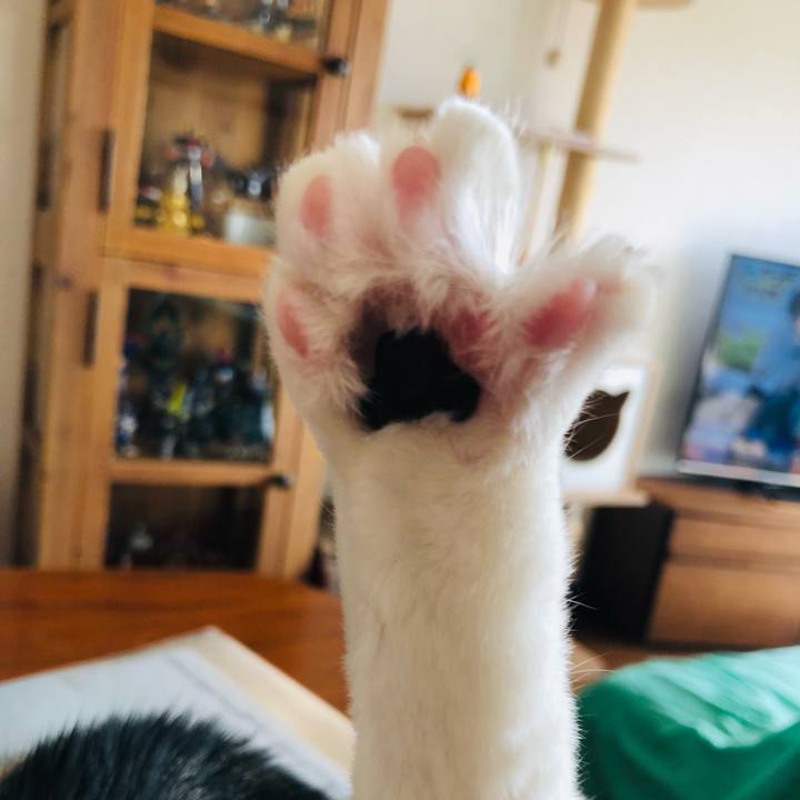 C5f7861e 2d3a 47ab bbd4 1d82c145cf63 1762045571365