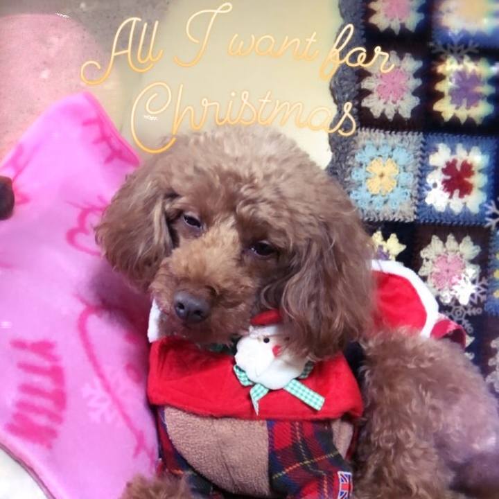 C5f7dc7d 67b8 4966 a4ab f880aece9b60 1577161859094