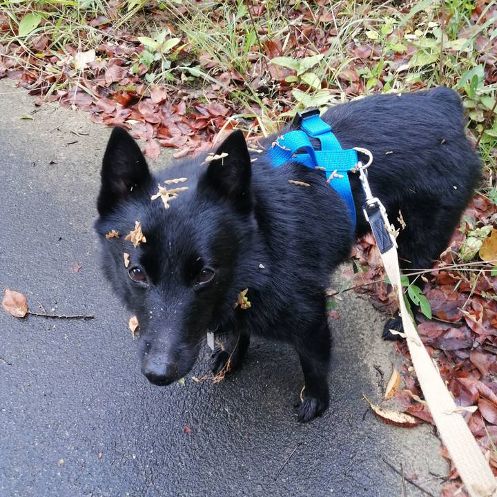 C5f7f6f6 6e44 4e34 877e 12e2784f59ce 1634429896117