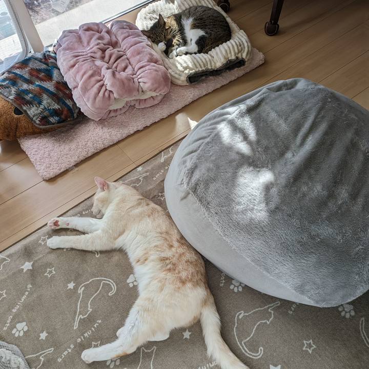 C5f806e7 bec1 4a41 a586 6ee42077722f 1699419721370