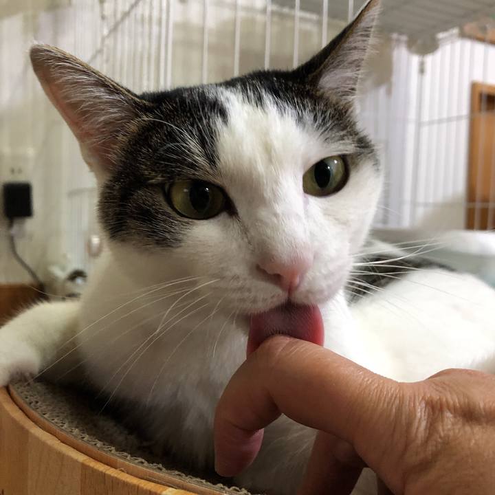 C5f819b9 92dd 4af3 8d73 6483c92b6797 1628857932243