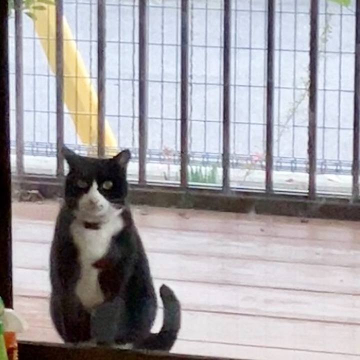 C5f82499 ba91 4ef3 946c 7cbe53cdcdd6 1737538624484