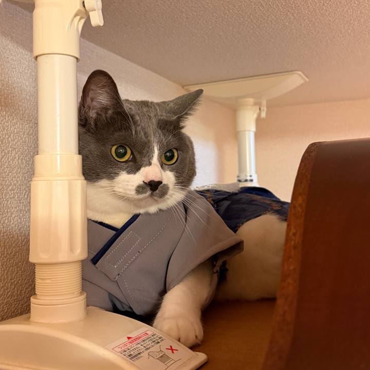 C5f87d79 d289 4724 a5a7 d9dcd89e6f27 1767258811447