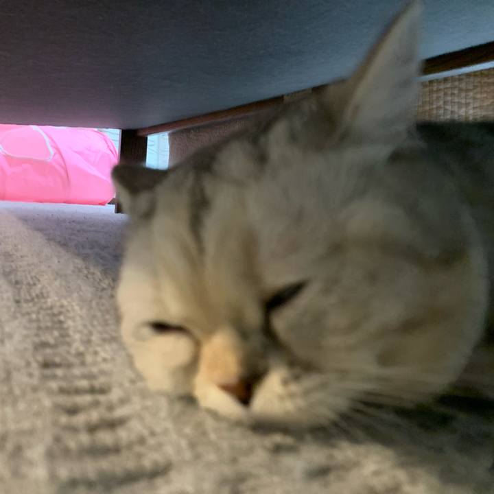 C5f87dd9 957f 44e8 aec5 772de858ab8a 1707729398912