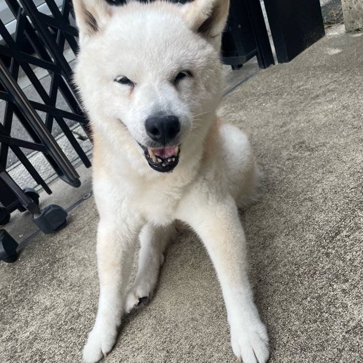 C5f8aa47 dbbe 46d9 ae3f 3dffde25065b 1757769787959