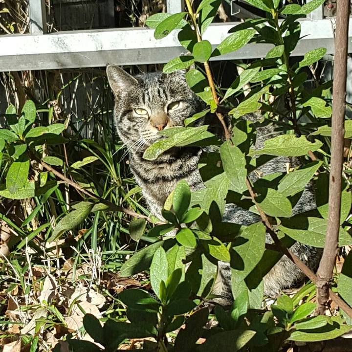 C5f8c8a0 747c 4f9c b1a4 84c3f724bb8f 1546140338305