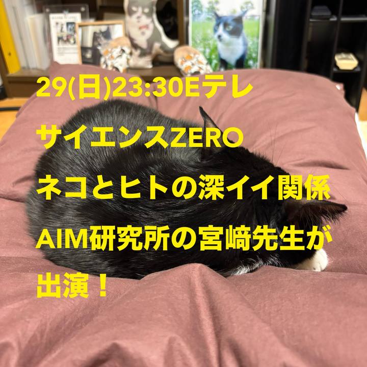 C5f8de89 9841 4281 b183 0c47a5256c96 1774270445671