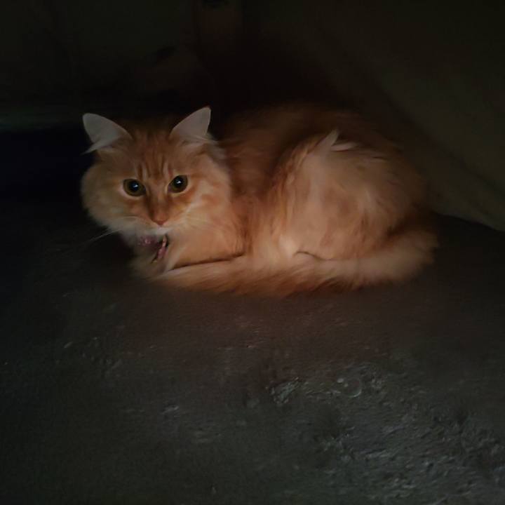 C5f90eca 9d03 4483 99cf 6a1057bc3015 1669514506968