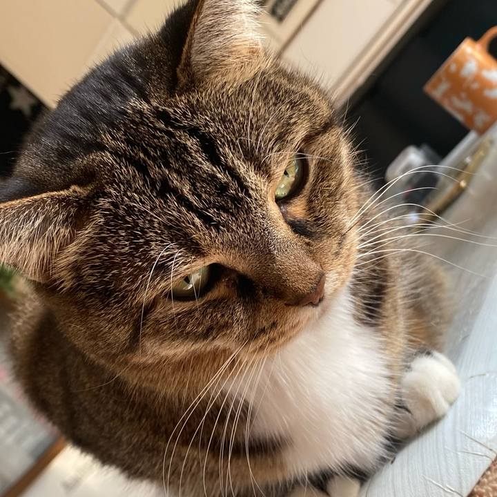 C5f90fc4 ff59 4283 912d e2f9eb34589d 1667084318914