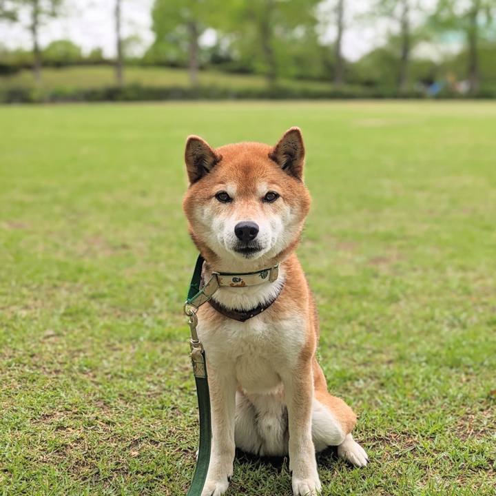 C5f91e0c 5e4e 4e70 8fb0 f0212085f841 1713919159688