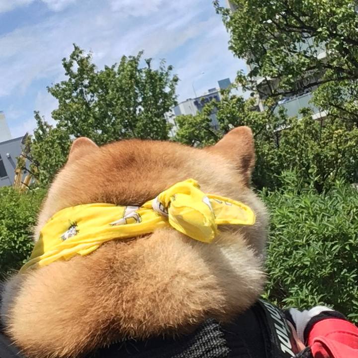 C5f94d93 357d 4191 86ab 5100298af002 1591848794882