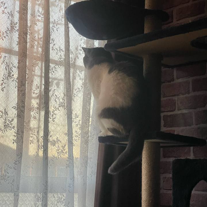 C5f96e1c 56d3 4893 9f9f 3d81e309d8e6 1703403326711