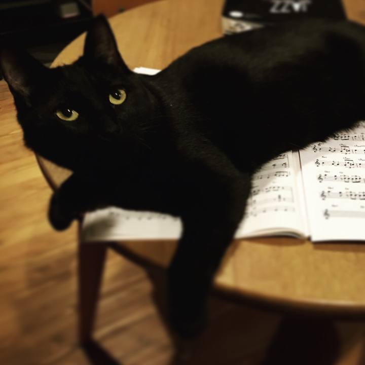 C5f9b777 6a4a 4fb4 8129 32da4c6e73fd 1514454800509