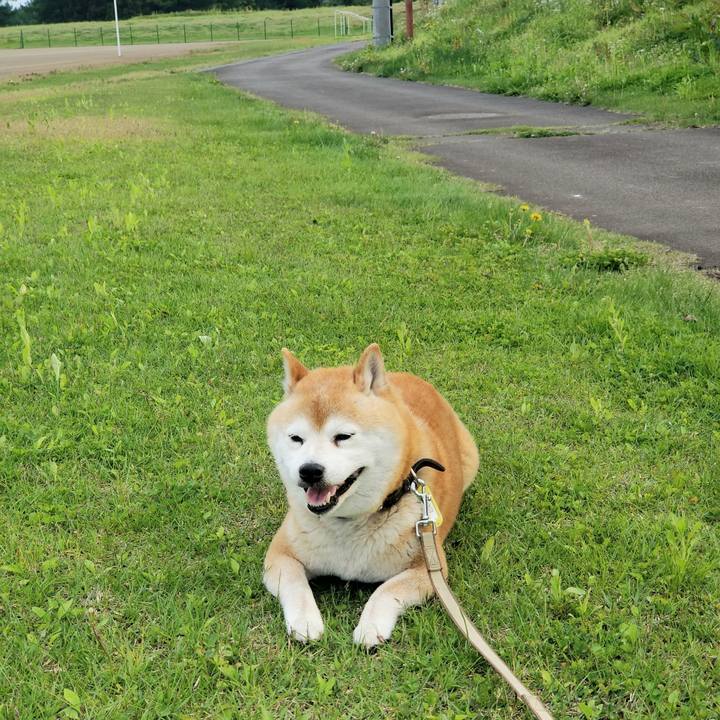 C5f9dc86 09b1 4816 a47f 3bf50fbd4769 1652946568859