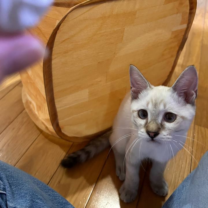 C5f9dfe3 b3c9 40bf 9b2b 4192b2695e55 1724076197186