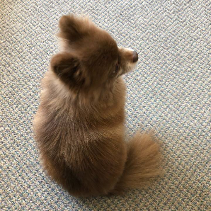 C5f9fd82 785a 4961 a316 e81467e2a83c 1557622013616