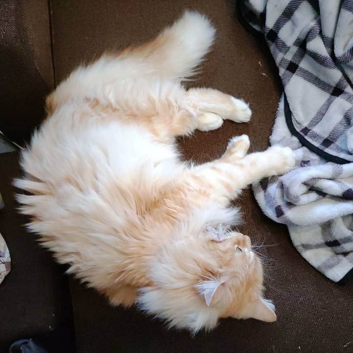 C5fa0796 174a 477f bef4 4fe60cd16812 1717824971281