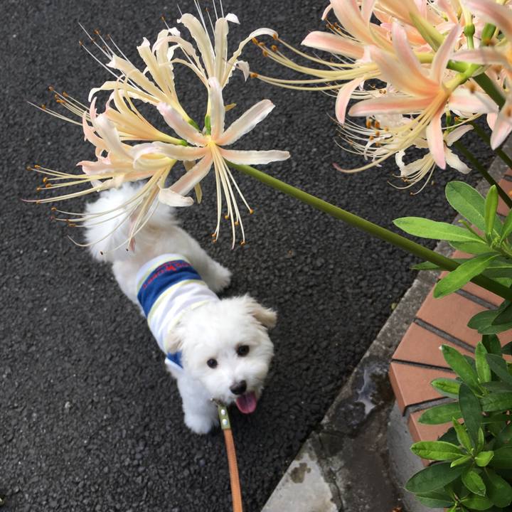 C5fa2605 f5e8 4656 a133 16d755c3a94b 1569369907802