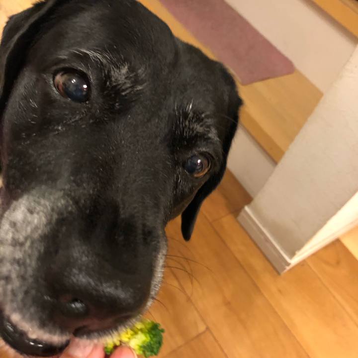 C5fa5abb c44b 4c88 921c a5dbfb8d7734 1571828253068