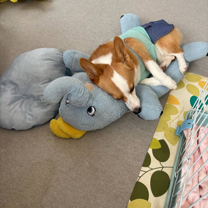 C5fa5bbd ca1c 4f58 b536 96cd9bf70d09 1757995387791