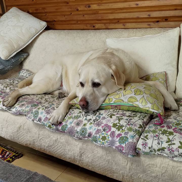 C5fa668a 2486 4f5f 9eed 5fd83c341807 1716705421173