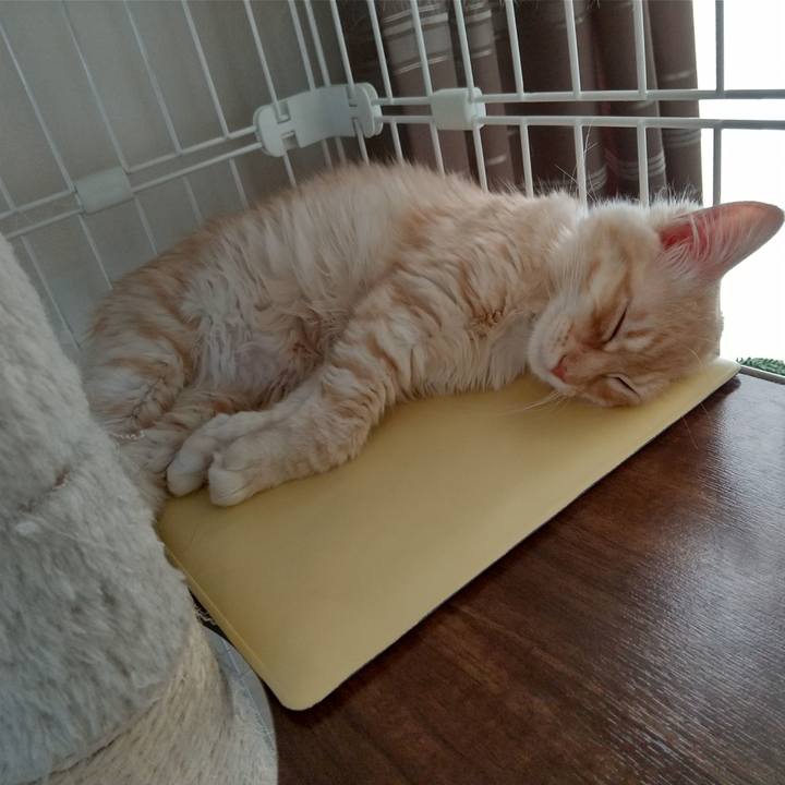 C5fa6ee0 6673 47b2 ba70 7ec58c969fd3 1610082027688