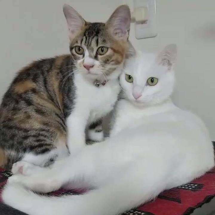 C5fa904c 212f 4fd5 8dd3 5cc98f26e16a 1631757379722