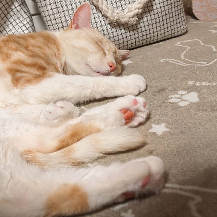 C5fac5a6 3616 4ca3 a116 58583f10fde6 1706084791262