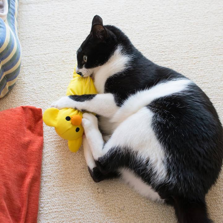 C5fac7c3 5bc8 4c5f 9bc0 45c15df9fb07 1552608807248