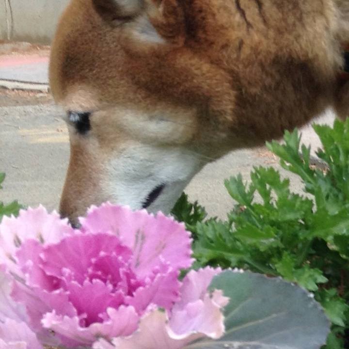 C5fad266 75b0 4102 8b55 b5cb21643f4c 1515127016696