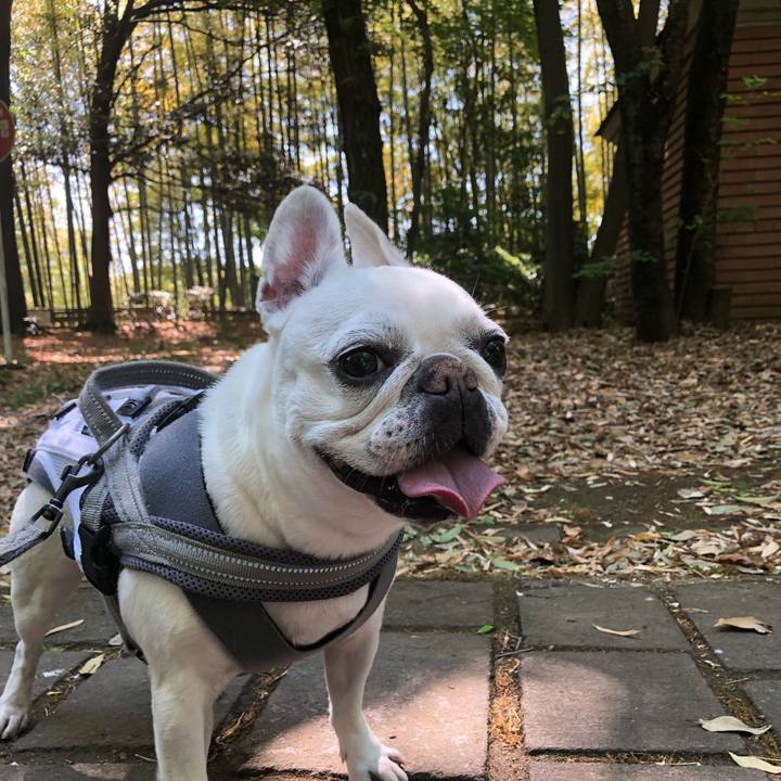 C5fb0a83 8633 4893 9b33 2589ee549fd0 1683101786050