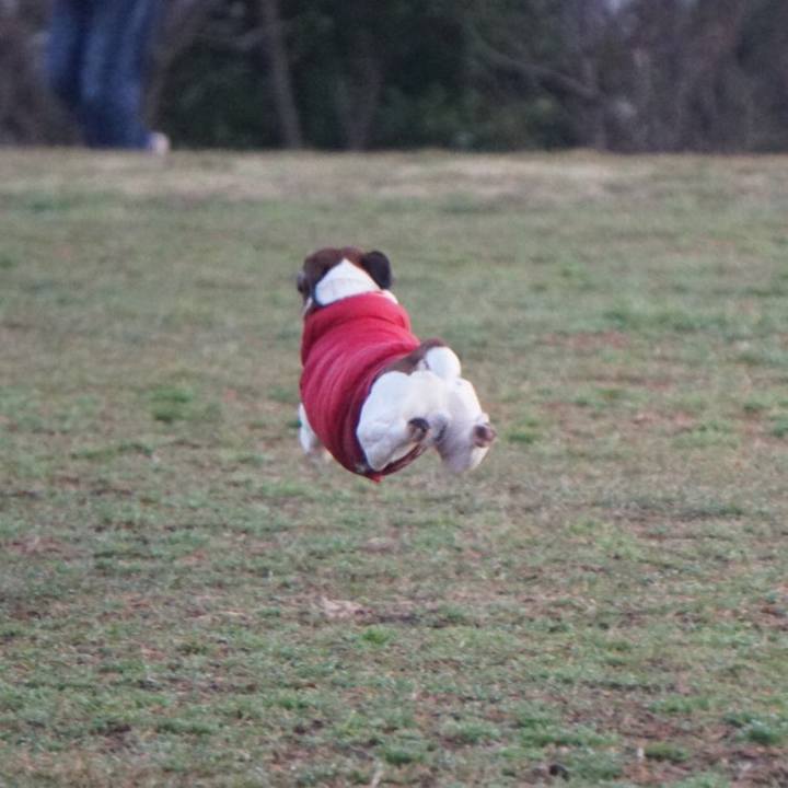 C5fb1856 ed76 4f0f 96f6 080a0f5bba59 1580684006787