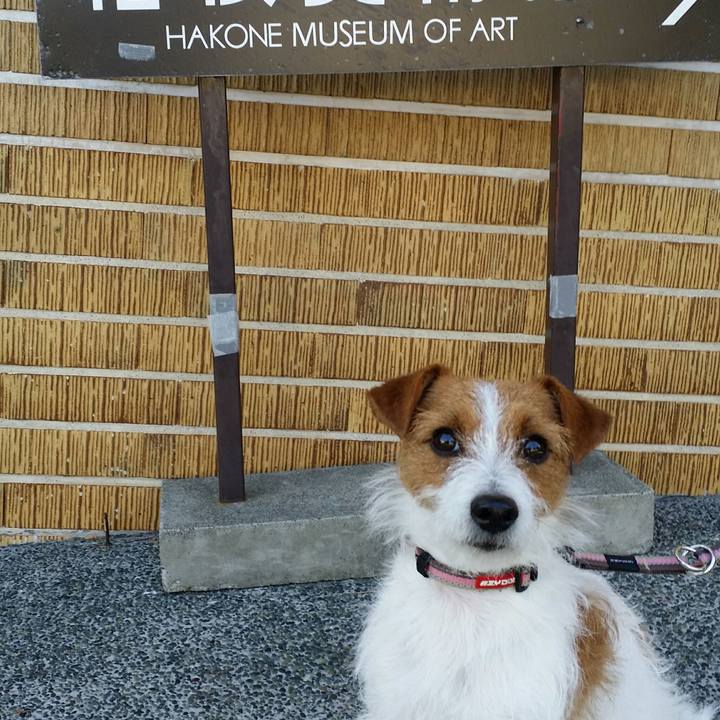 C5fb2dbe c734 4b8a 9a1b 10c134777695 1513434442765