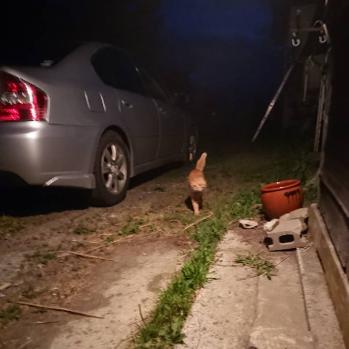 C5fb3589 a210 4d53 accd f14518e29c89 1656242114485