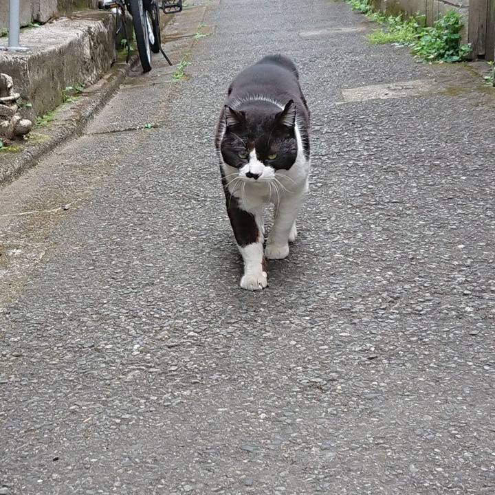 C5fb4de9 6e93 419c b5bd 2324d869db86 1650237374372