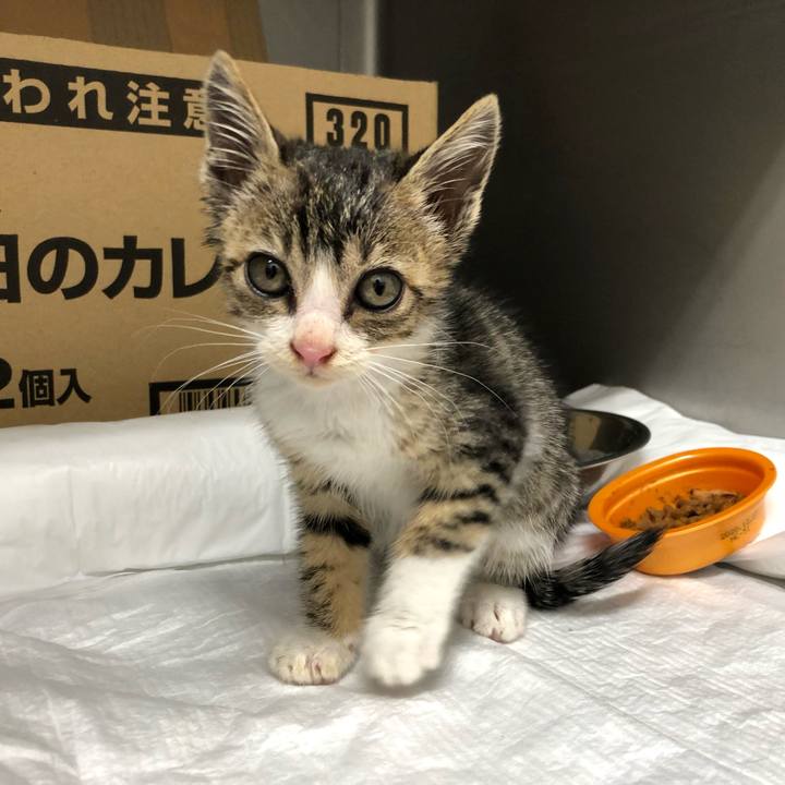 C5fb6b80 c99c 498f a22c b738c7ccc44a 1560576468689