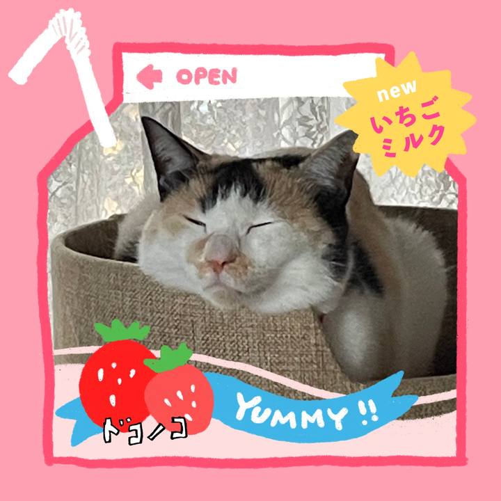 C5fbd252 c90d 413b a281 81d91cbbb40b 1710999819345