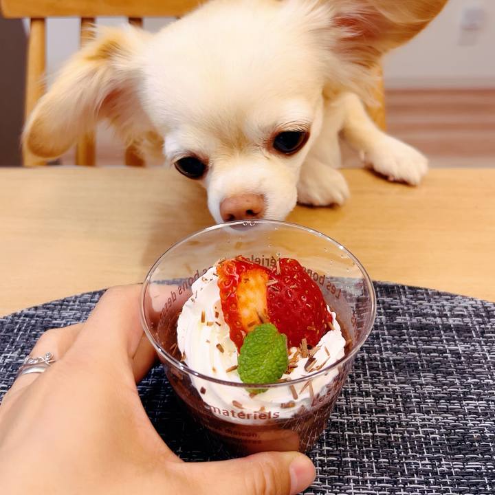 C5fc353f ed5b 4661 83b7 6f0bd255743e 1702124667902