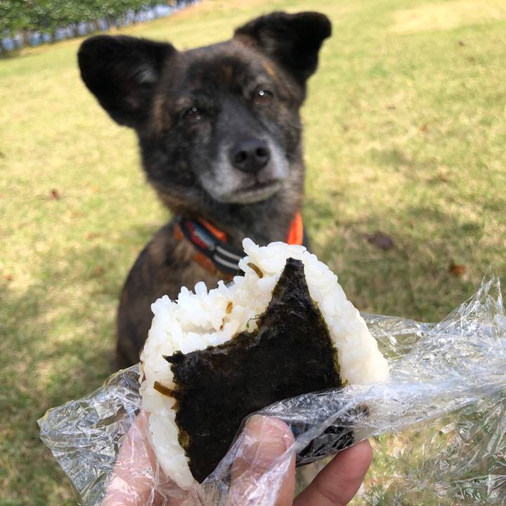 C5fc46d4 ed90 45c1 9e09 a4afdcc6c73f 1573724567638